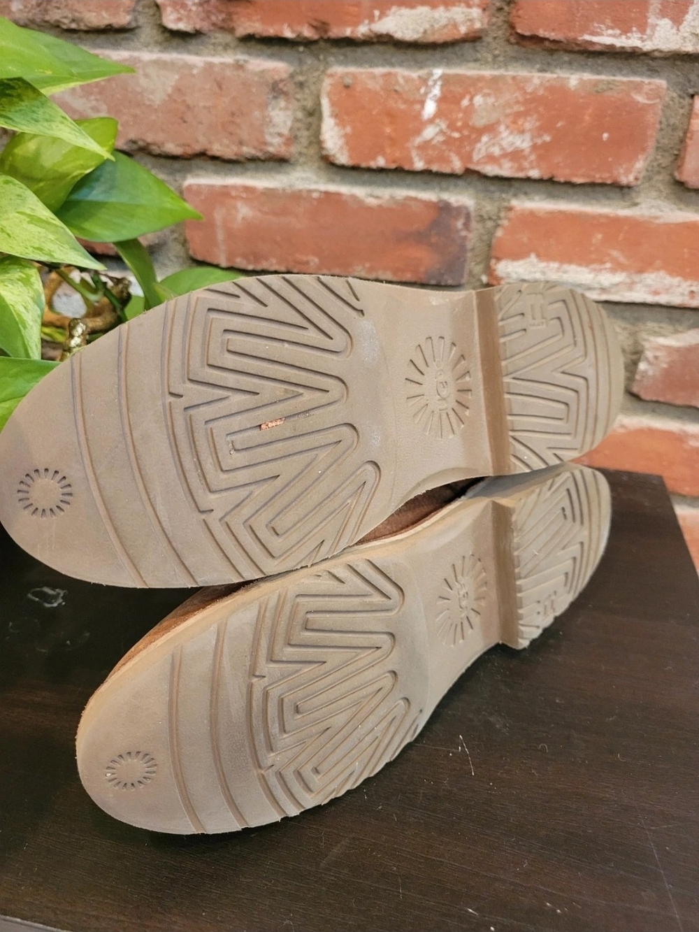 UGG Chestnut Shearling Short Boot - Picture 8 of 8